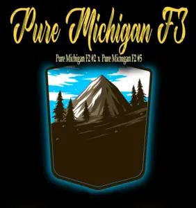 Pure Michigan F3