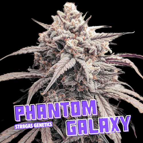 Phantom Galaxy [Auto]