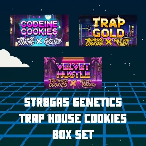 STR8GAS GENETICS TRAP HOUSE COOKIES BOX SET