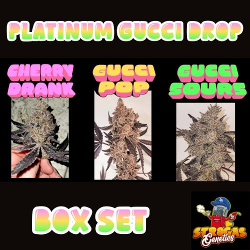 Platinum Gucci Str8Gas Genetics Box Set Platinum Gucci Str8Gas Genetics Box Set