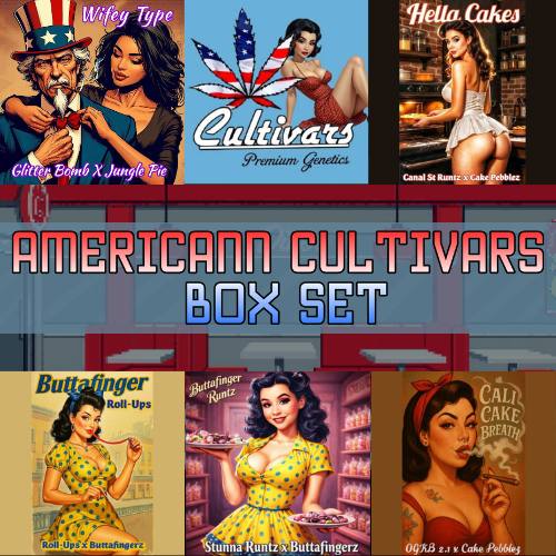 Americann Cultivars 5 strain feminized cannabis seed box set featuring Cali Cake Breath Buttafinger Runtz Wifey Type Hella Cakes and Buttafinger Rollupz