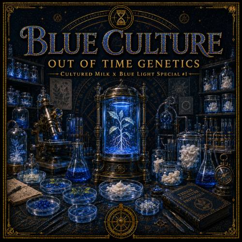 Blue Culture