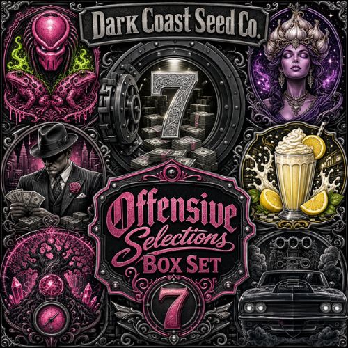 Currency #7 Box Set
