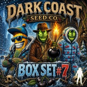 Robin Hood Seeds Drop #7 box set with Frozen CAP Junky, Frozen Trop Cherry S1, and Black Maraschino feminized cannabis seeds, 15 seeds total, at Dark Coast Seed Co.