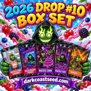 2026 Drop #10 Box Set by Robin Hood Seeds: one 5-pack each of Maraschino Sherbet, Razzleberry Cherry, Razzle Cake, Razzle Goo and Banger-C, 25 feminized photoperiod cannabis seeds at Dark Coast Seed Co.