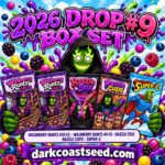 2026 Drop #9 Box Set | Robin Hood Seeds (Wildberry Runtz #10 F2, #4 F2, Razzle Stix, Razzle Cups, Super-C) 2026 Drop #9 Box Set by Robin Hood Seeds: one 5-pack each of Wildberry Runtz #10 F2, Wildberry Runtz #4 F2, Razzle Stix, Razzle Cups and Super-C, 25 feminized photoperiod cannabis seeds, exclusively at Dark Coast Seed Co.