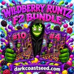 Wildberry Runtz F2 Bundle Feminized Cannabis Seeds | Robin Hood Seeds (#10 F2 + #4 F2) Wildberry Runtz F2 Bundle by Robin Hood Seeds: one 5-pack each of Wildberry Runtz #10 F2 and Wildberry Runtz #4 F2, ten feminized photoperiod cannabis seeds, exclusively at Dark Coast Seed Co.